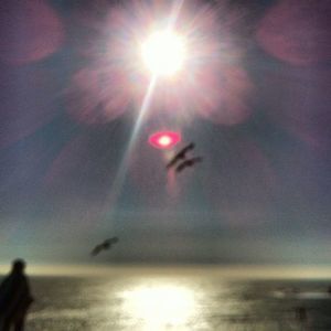 Meet your Posher, Reuab